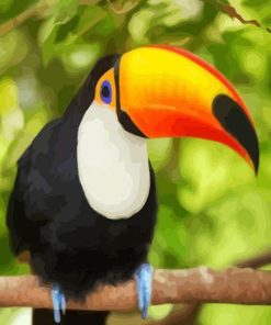 Toucan Bird Painting Paint By Numbers