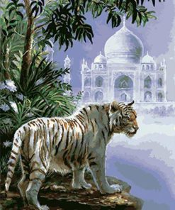 Indian White Tiger Animal Paint By Numbers