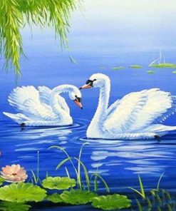 Lovely White Swans Paint By Numbers