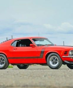 Ford Mustang GT500 Paint By Numbers