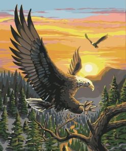 Golden Sunset Eagles Paint By Numbers