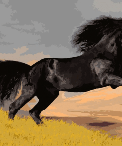 Arabian Stallions Paint By Numbers