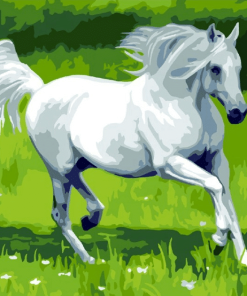Majestic White Horse Paint By Numbers