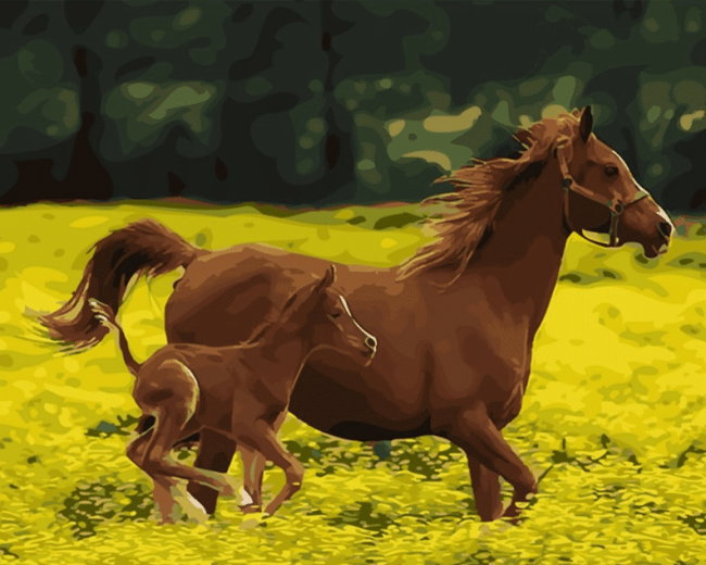 Foal Horses Paint By Numbers