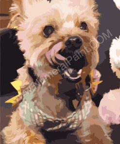 Custom Pet Portrait Paint By Numbers