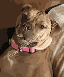 Paint Your Puppy Paint By Numbers