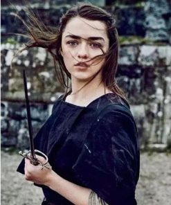 Arya Stark Game of Thrones Paint By Numbers
