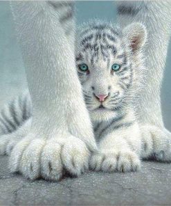 Cute White Tiger Cubs Paint By Numbers