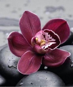 Stone Flowers Aesthetic Paint By Numbers
