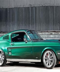 67 Mustang Classic Car Paint By Numbers