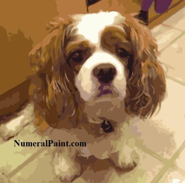 Custom Dog Portrait Paint By Numbers