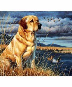 Dog by the Lake Animals Paint By Numbers