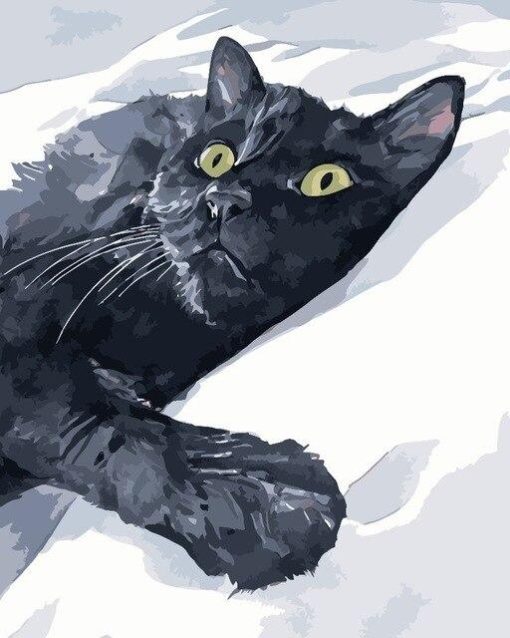 AZQSD-Digital-Painting-Cat-Series-Handmade-Gift-Abstract-DIY-Oil-Paint-By-Number-Canvas-Kits-Animal.jpg_640x640-BlackCatInSnow