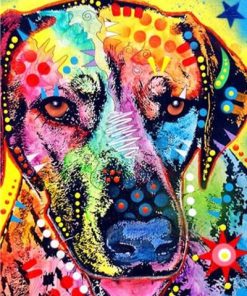 Rainbow Dog Animals Paint By Numbers