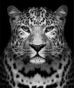 Leopard Animal Art Paint By Numbers