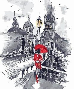 Red Dress in Istanbul City Paint By Numbers