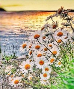 Daisy Flowers by the Lakeside Paint By Numbers