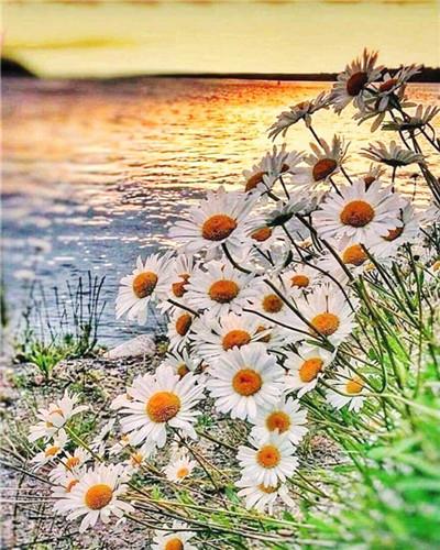 Finalizing the artwork