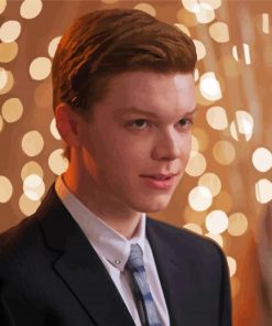 Actor Cameron Monaghan Paint By Numbers Kit