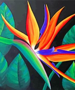 Aesthetic Bird of Paradise Paint By Numbers