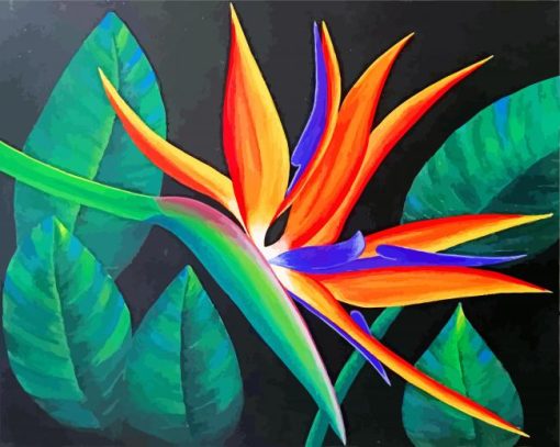 Aesthetic-Bird-Of-Paradise-Flower-paint-by-numbers
