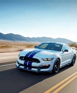 Shelby GT350SE Aesthetic Cars Paint By Numbers