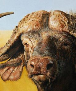 African Buffalo Wildlife Paint By Numbers