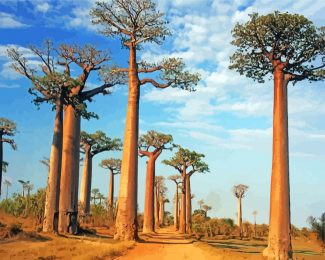 Baobabs of Madagascar Paint By Numbers