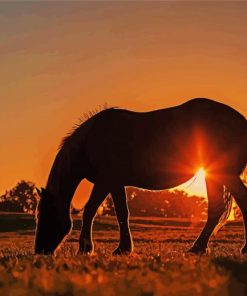 Horse Silhouette at Sunset Paint By Numbers