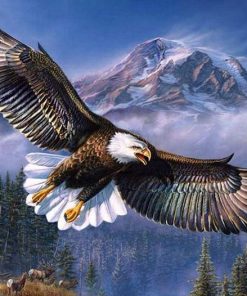 Majestic Eagle Birds Paint By Numbers