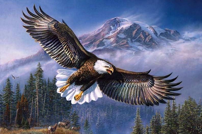 Finalizing Majestic Eagle Birds Artwork