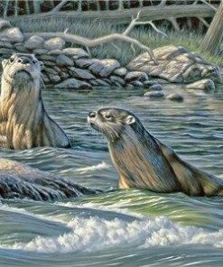 River Otters Wildlife Paint By Numbers