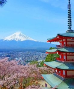 Mount Fuji Wonderland Paint By Numbers