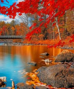 Autumn Forest Landscapes Paint By Numbers