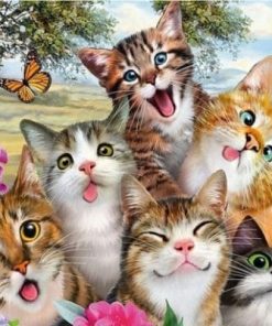 Funny Cats with Butterflies Paint By Numbers