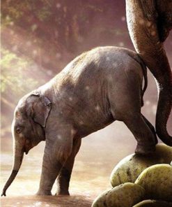 Baby Elephant Art Paint By Numbers