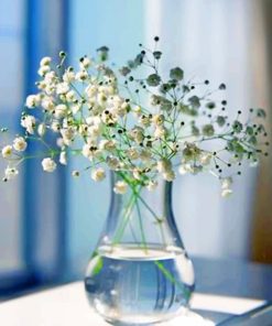 Baby's Breath Floral Vase Paint By Numbers