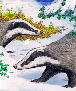 Snowy Badger Scene Paint By Numbers