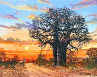 Majestic Baobab Landscapes Paint By Numbers