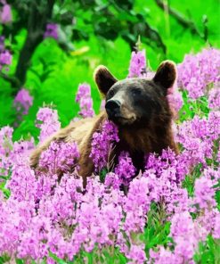 Bear in Flower Field Paint By Numbers