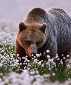 Bear in a Flower Field Paint By Numbers