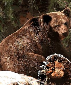 Forest Bear Animal Paint By Numbers