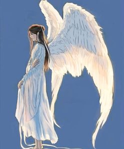 Beautiful Angel Woman Paint By Numbers