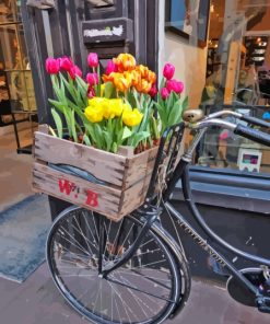 Bicycle and Tulip Garden Paint By Numbers