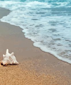 Big White Shell Seascape Paint By Numbers