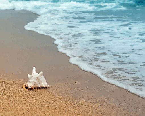 Big-White-shell-by-Sea-Shore-paint-by-number