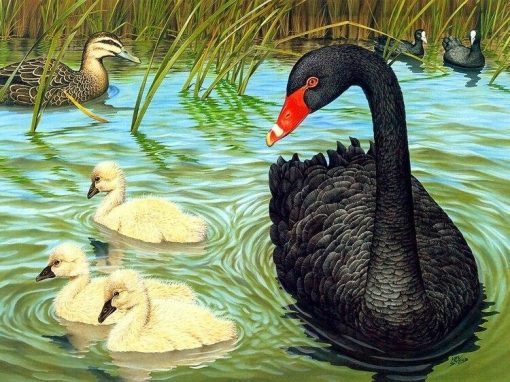 Big-black-duck-DIY-Painting-By-Numbers-24-Color-Pigment-Brush-Painting-Art-Hand-painted-Creative