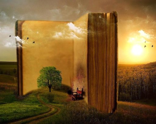 Big_Book_in_Forest-1