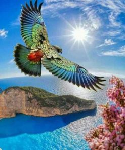 Ocean Birds Flying Paint By Numbers