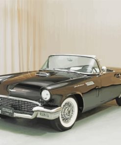 1957 Ford Thunderbird Paint By Numbers